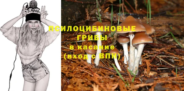 бошки Абаза