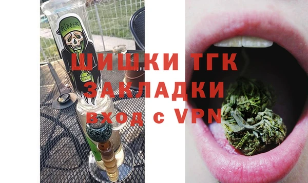 сатива Абинск