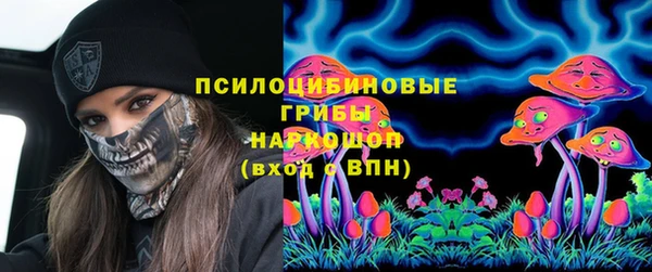 прущие грибы Покров