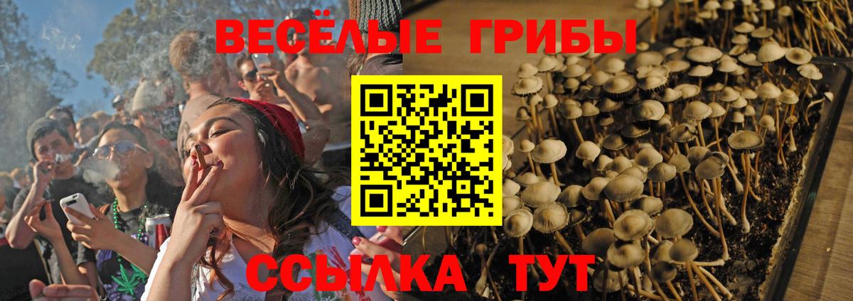 Галлюциногенные грибы Psilocybine cubensis Алатырь