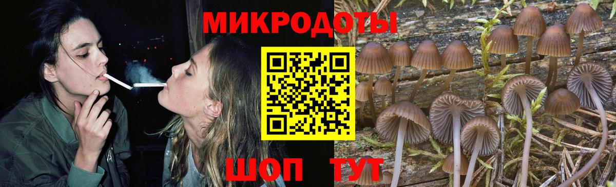 Псилоцибиновые грибы GOLDEN TEACHER  Вход с VPN  Алатырь 